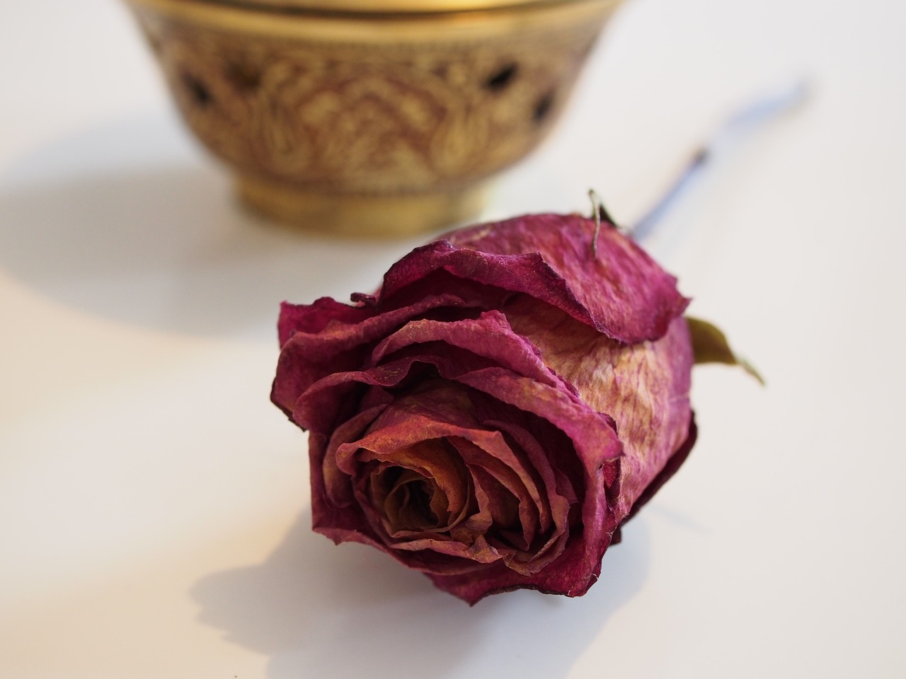 10 Simple Crafts for Celebrating National Family Caregivers Month